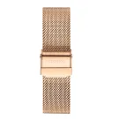 Dissing Mesh band DS336